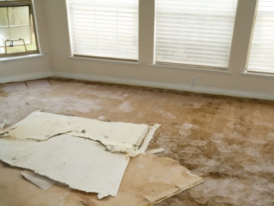 Water damage restoration in Mercer Island by Continental Carpet Care, Inc.