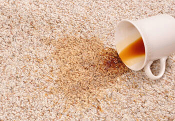 Carpet stain removal by Continental Carpet Care, Inc.